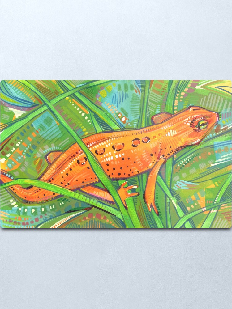 Alternate view of Eastern Newt Painting - 2019 Metal Print