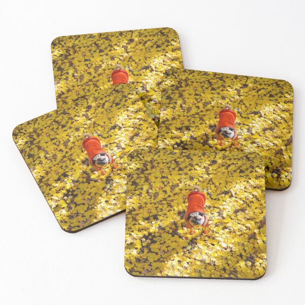 Item preview, Autumn Pug Stands Out designed and sold by pugventurephoto.