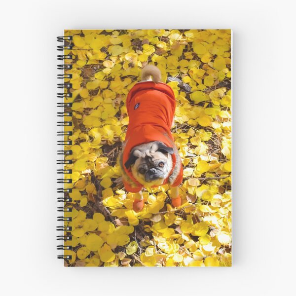 Item preview, Autumn Pug Stands Out designed and sold by pugventurephoto.