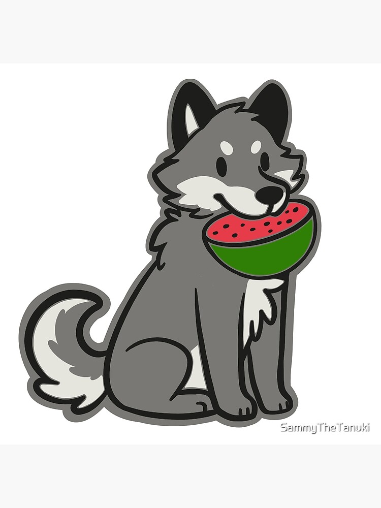 Wolf Eating A Watermelon Poster By Sammythetanuki Redbubble