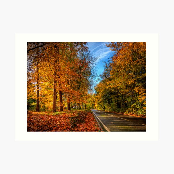 Winchester Autumn Colour Art Print