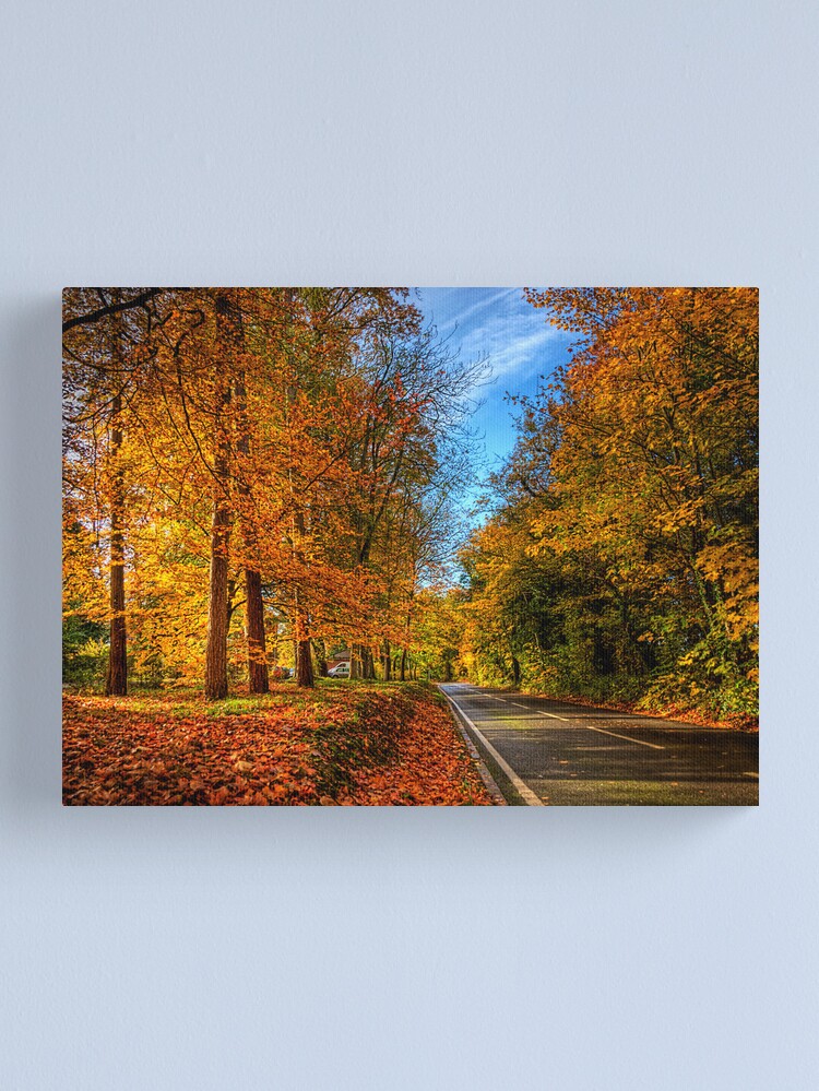 Alternate view of Winchester Autumn Colour Canvas Print