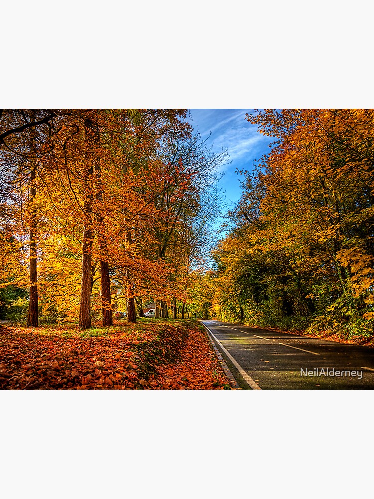 Winchester Autumn Colour by NeilAlderney