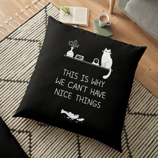 C'est pourquoi nous ne pouvons pas avoir de belles choses Coussin de sol