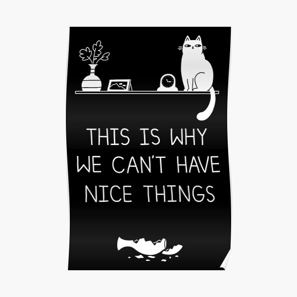This Is Why We Can't Have Nice Things Poster