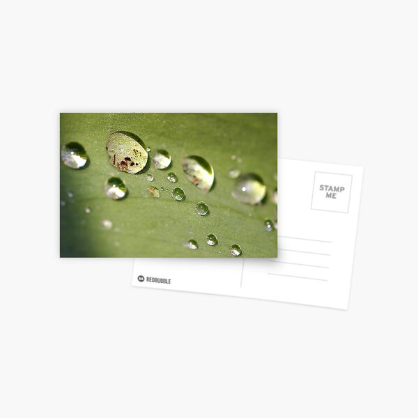 Eternity Postcard