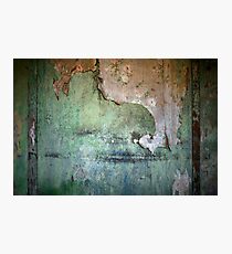 Wallpaper Photographic Print
