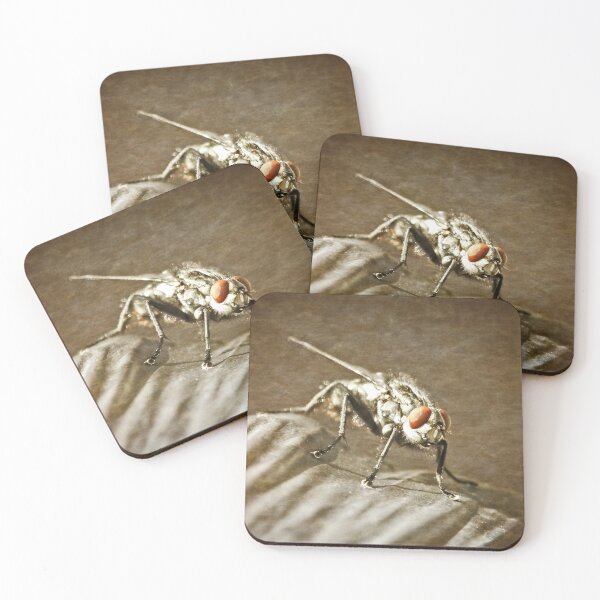 Item preview, ©NS Resting flight 2 ONFX. designed and sold by OmarHernandez.