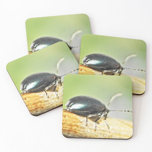 Item preview, ©NS Beetle In Balance ONFX. designed and sold by OmarHernandez.