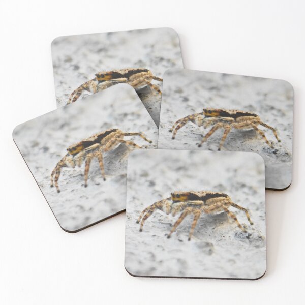 Item preview, ©Salticidae Ahead ONFX. designed and sold by OmarHernandez.