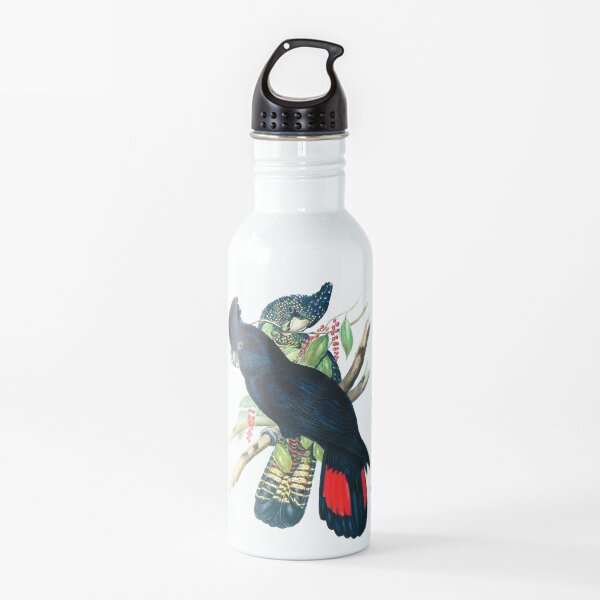 Australian Banksian Black Cockatoo Water Bottle