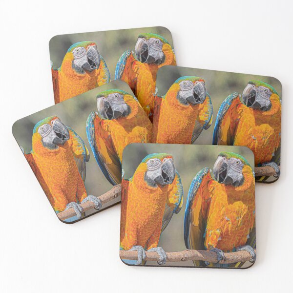 Item preview, The Catalina Macaw Boys designed and sold by KarenWillshaw.