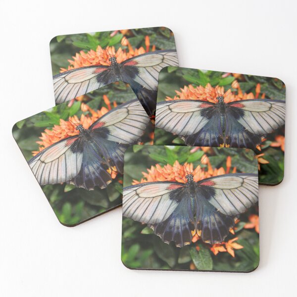 Item preview, Great Mormon Butterfly enjoying nector. designed and sold by vette.