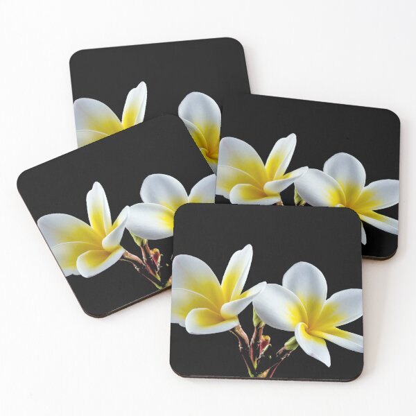 Item preview, Plumeria designed and sold by Strawflower Oasis.