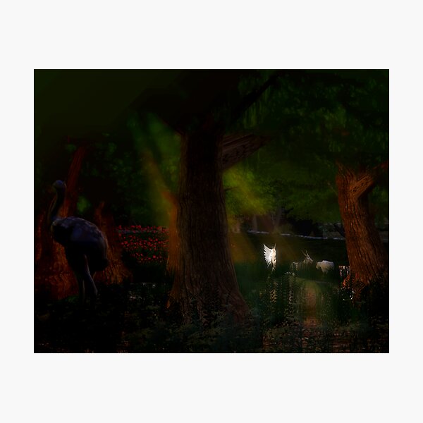 Angels are Everywhere #1 Photographic Print
