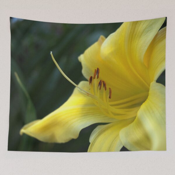 Item preview, Yellow Daylily from A Gardener's Notebook designed and sold by Douglas E. Welch Design and Photography.