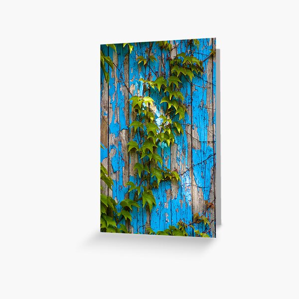 Hedera helix by blue door Greeting Card
