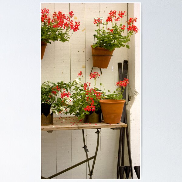 Aperçu de l'œuvre Geraniums créée et vendue par Linn Arvidsson.