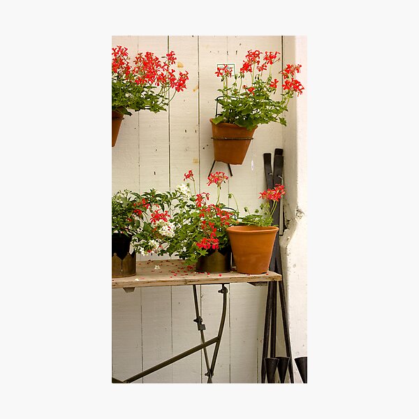 Artikelvorschau, Geraniums entworfen und verkauft von Linn Arvidsson.