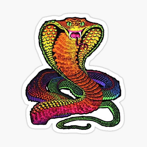 Item preview, Cobra designed and sold by Retrorockit.