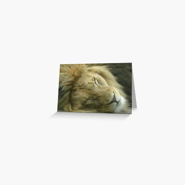 Nap time Greeting Card