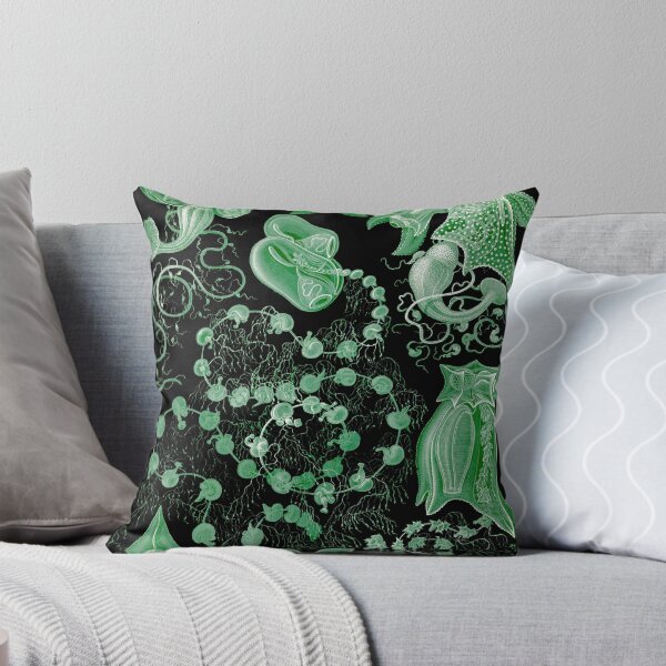 Item preview, Plate 77. Siphonophores, colonial marine invertebrates that can superficially resemble jellyfish. designed and sold by Squirrox.