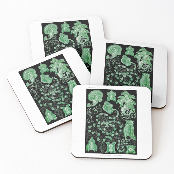 Item preview, Plate 77. Siphonophores, colonial marine invertebrates that can superficially resemble jellyfish. designed and sold by Squirrox.