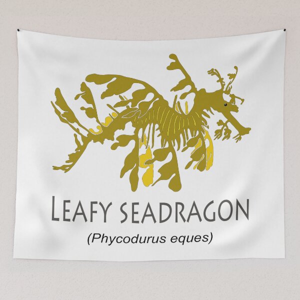 Item preview, Leafy seadragon designed and sold by The Sleepy Monito.
