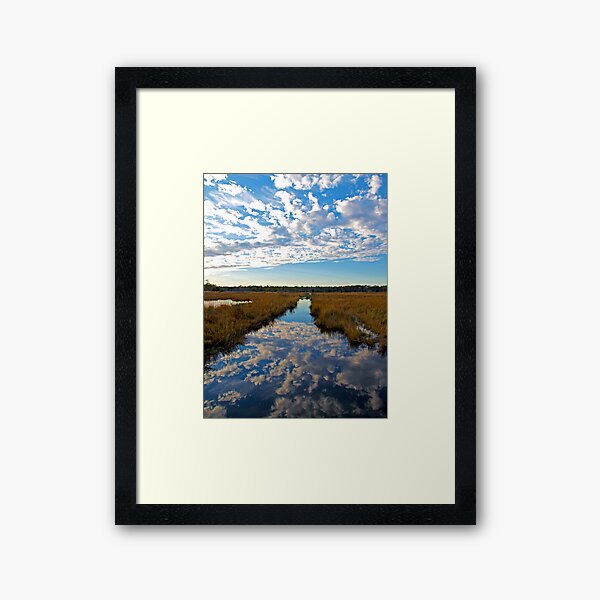 Item preview, Swamplands of Cattus Island  designed and sold by DCphotographs.