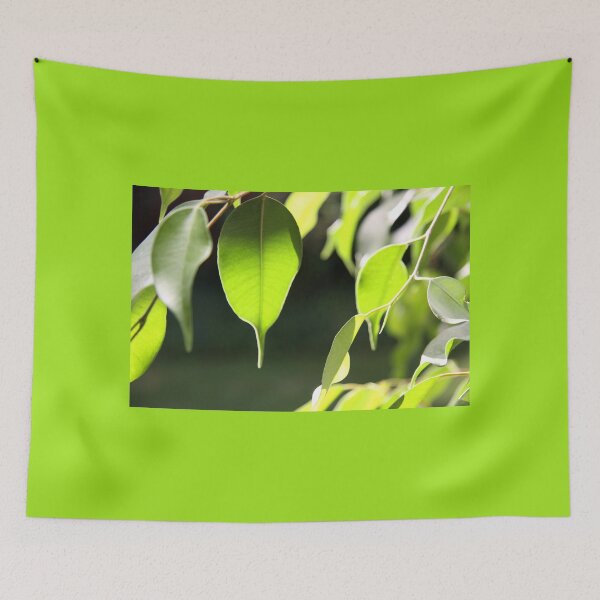 Item preview, Emerald Glow designed and sold by coffeebean.