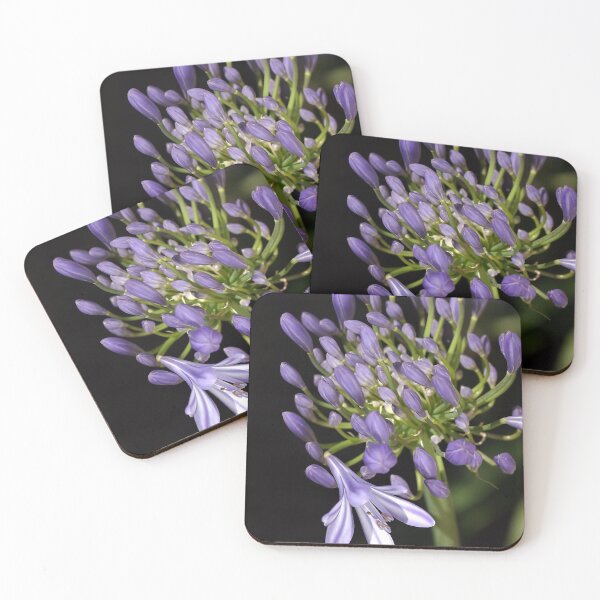 Item preview, flower- agapanthus-blue-buds-one-flower designed and sold by Joy Watson - Natural Light Photography .