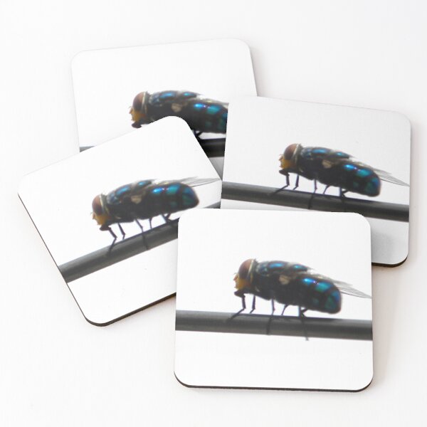 Item preview, ©NS Fly Around IA designed and sold by OmarHernandez.