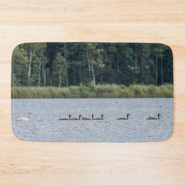 Item preview, Family of Swans Swimming on a Lake designed and sold by Jon Shore.