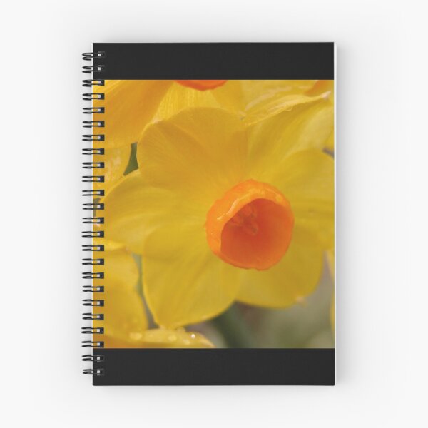 Item preview, Cheery Sight, Jonquil,Tumut, Australia. designed and sold by kaysharp.