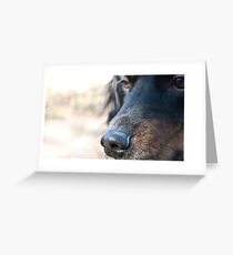 Soothsayer Greeting Card
