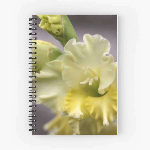 Item preview, Ruffled And Glad About It designed and sold by coffeebean.
