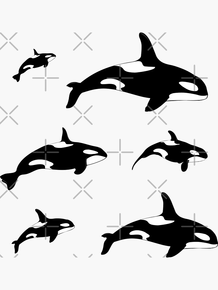 Orca Killer Whale Stickers | Sea Animal Sticker Pack by CreativeBridge