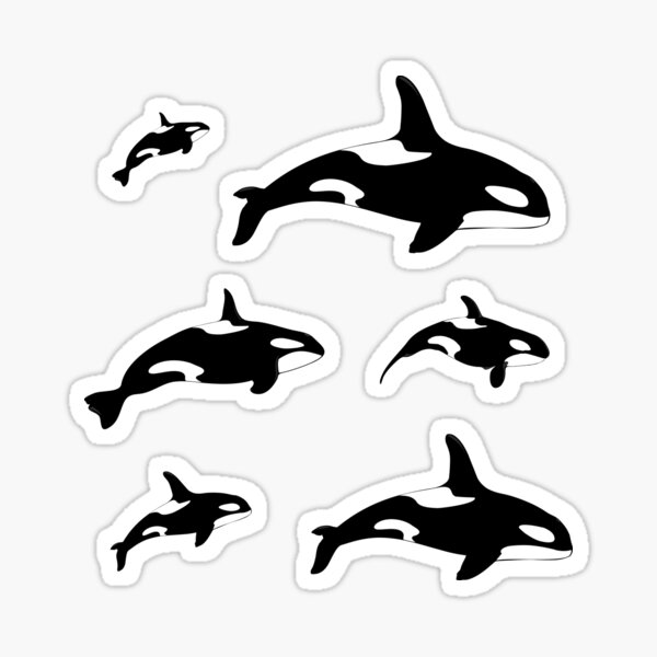 Orca Killer Whale Stickers | Sea Animal Sticker Pack Sticker