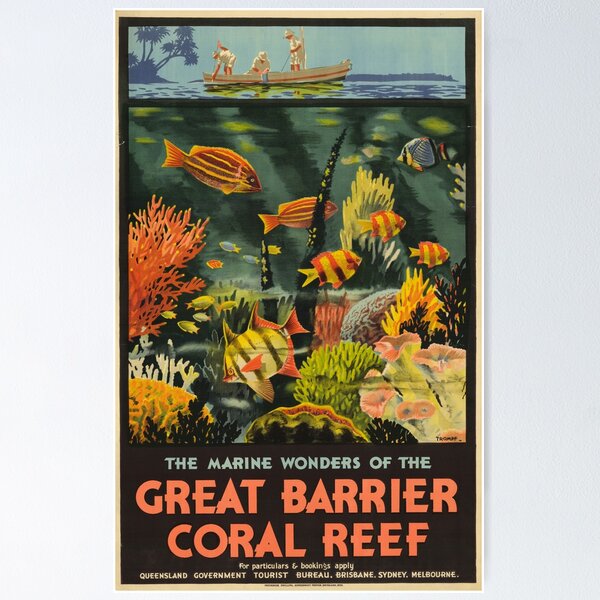 TUNNY CARBON CORAL REEF SPEARGUN