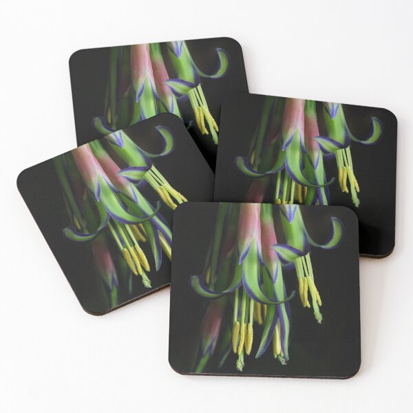Item preview, Hidden Treasure designed and sold by Siene Browne.