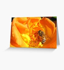 Bee ~ Stopping to smell the Rose Greeting Card