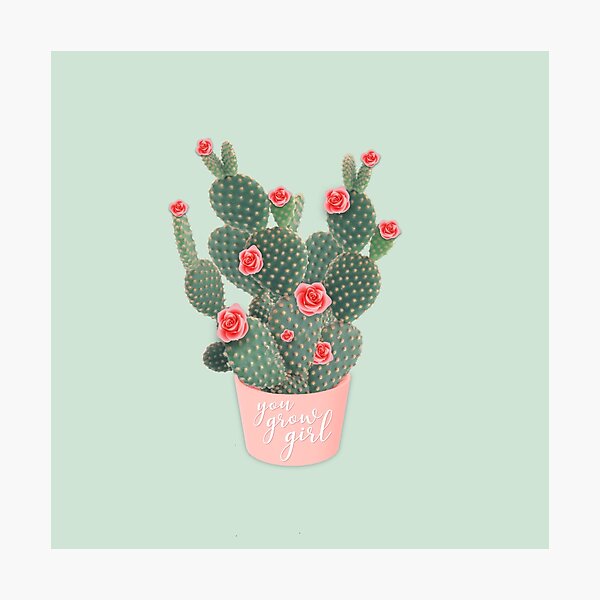 You grow girl Rose Cactus Photographic Print