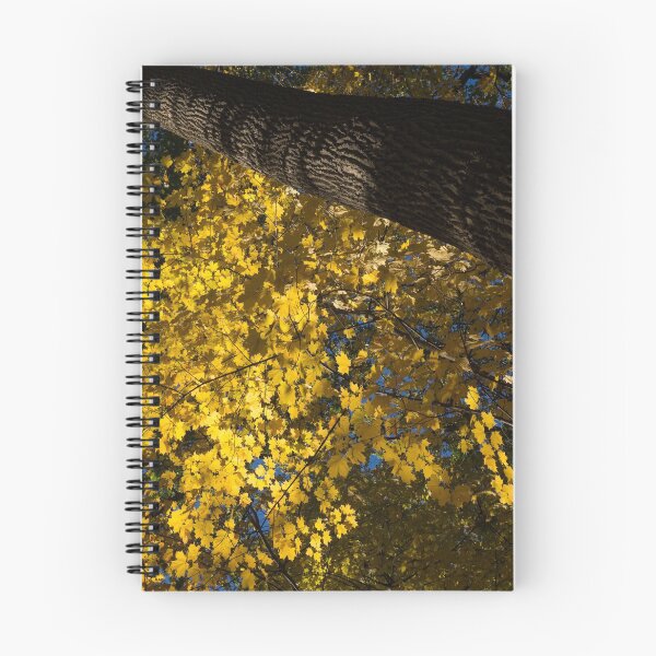 Item preview, Under the Trees - Lambton Woods, Toronto, Canada designed and sold by Georgia Mizuleva.