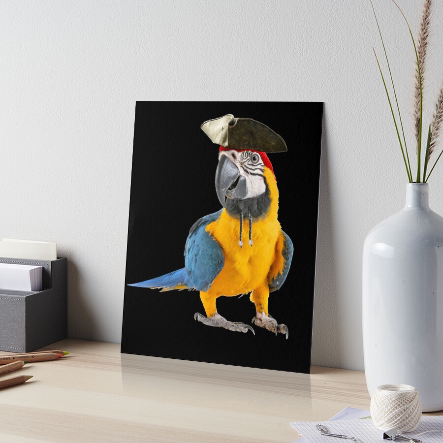 RAIDIN Boucles D'oreilles Pendantes Colorées En Acrylique Avec Sorcière