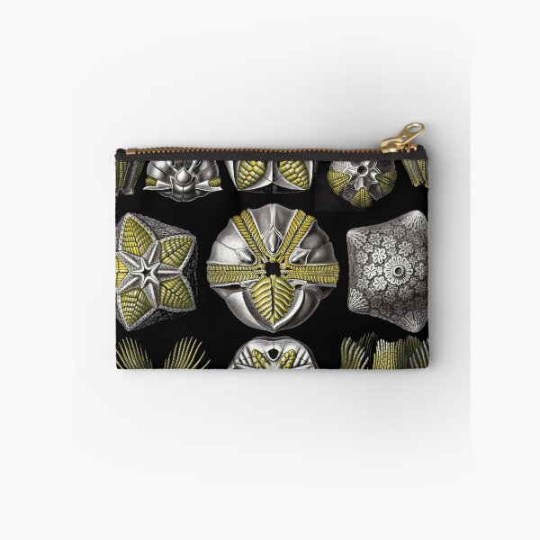 Item preview, Plate 80. Blastoidea, a class of extinct sea urchins and starfish designed and sold by Squirrox.