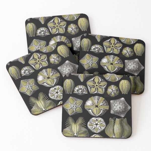 Item preview, Plate 80. Blastoidea, a class of extinct sea urchins and starfish designed and sold by Squirrox.
