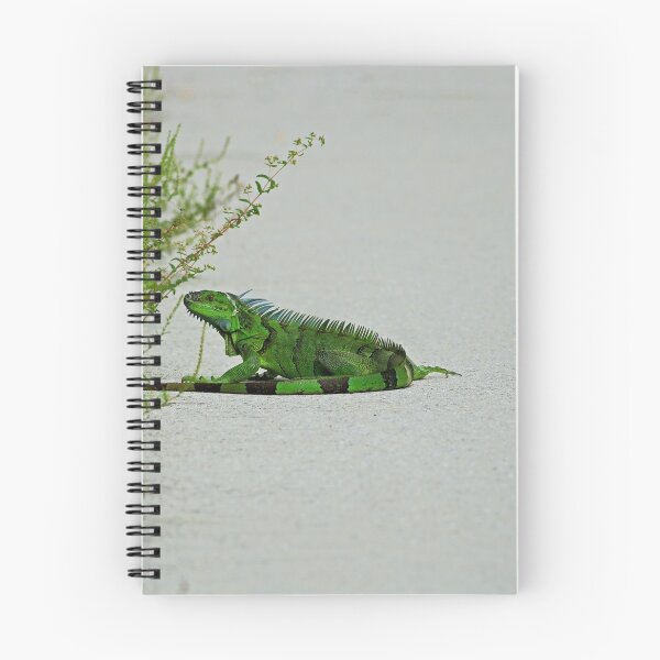 Item preview, Iguana in Ding designed and sold by Michiale.