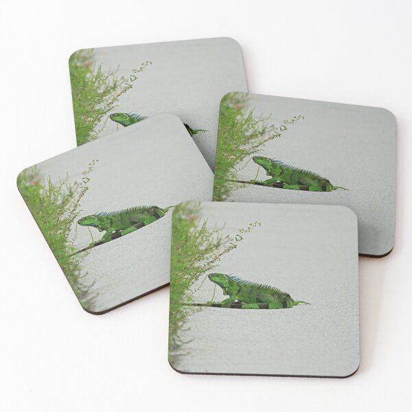 Item preview, Iguana in Ding designed and sold by Michiale.