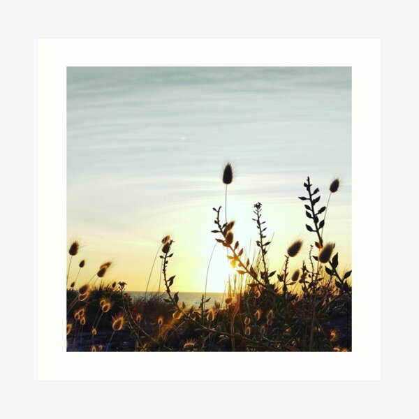 Fury bunny ears at the Beach Art Print