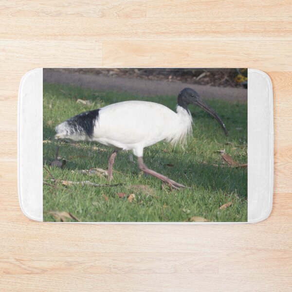 Item preview, Ibis designed and sold by Naomi80.